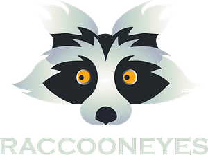 raccoon eyes digital marketing company raccoon eyes digital marketing company