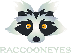 raccoon eyes digital marketing company